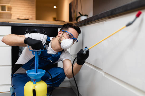 Best Flea Control Services  in Farmersburg, IN