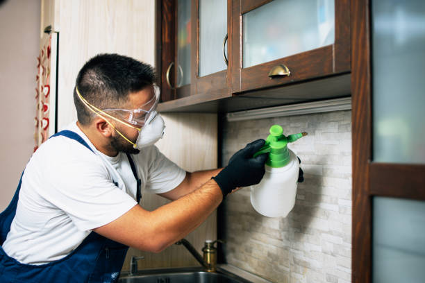 Best Pest Inspection Near Me  in Farmersburg, IN