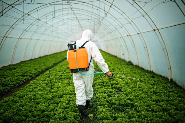 Professional Pest Control in Farmersburg, IN