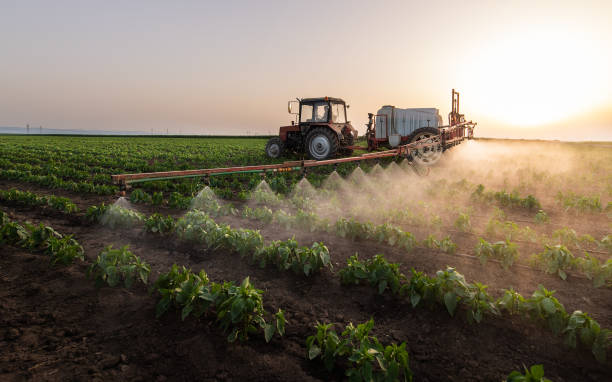 Best Pest Control for Restaurants  in Farmersburg, IN