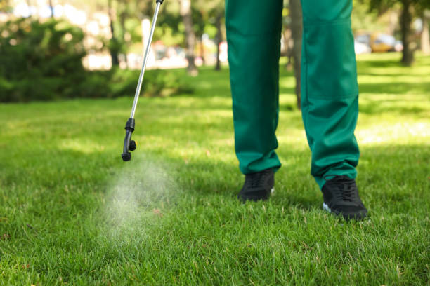 Best Affordable Pest Control Services  in Farmersburg, IN