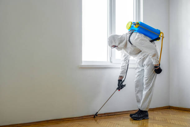 Best Best Pest Control Companies  in Farmersburg, IN