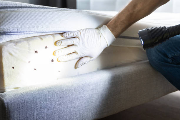 Pest Control for Restaurants in Farmersburg, IN