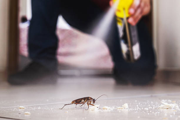 Best Termite Control Services  in Farmersburg, IN