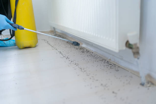 Best Rat Extermination Near Me  in Farmersburg, IN