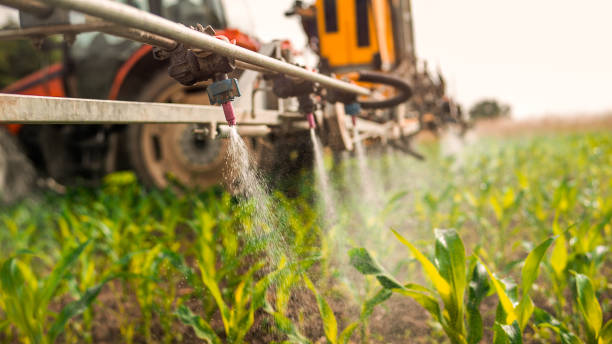 Best Wildlife Control Services  in Farmersburg, IN